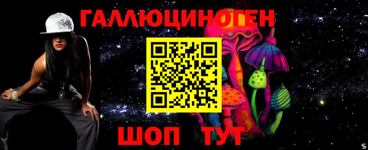 Хасавюрт  Галлюциногенные грибы прущие грибы  дарнет шоп  Галлюциногенные грибы мицелий  Вход с VPN 