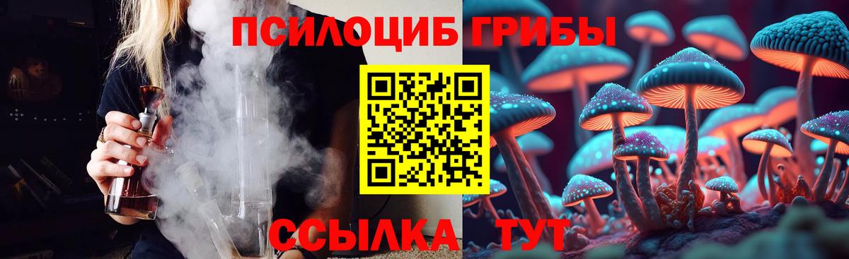 Псилоцибиновые грибы мухоморы Хасавюрт